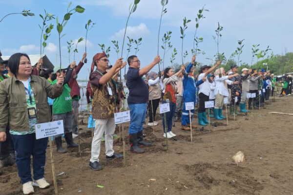 Tanam Ribuan Mangrove PT.Pegadaian Kanwil X Jawa Barat Bekerjasama Dengan Dinas Kelautan Dan Perikanan ( DKP ) Jawa Barat Dalam Kegiatan ” Bulan Cinta Laut Tabun 2025 “